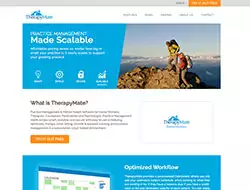 therapymate's website